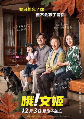 电视连续剧惊弦免费观看