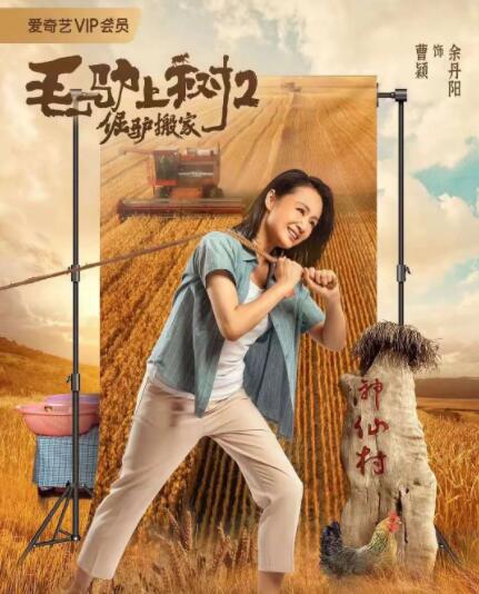 午夜在线免费观看视频
