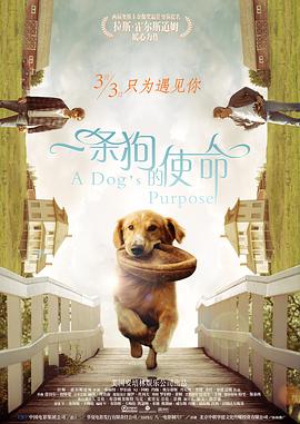 欧美日韩精品一区二区另类