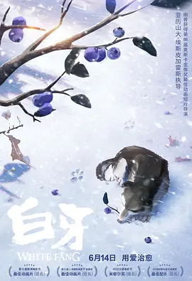 久久精品道一区二区三区