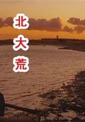 四虎网站