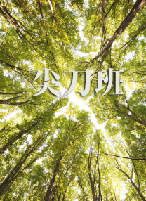 青青操网站