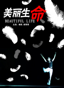 美女视频在线观看免费