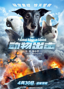 门顶