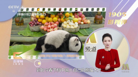 丝袜美腿精品国产二区